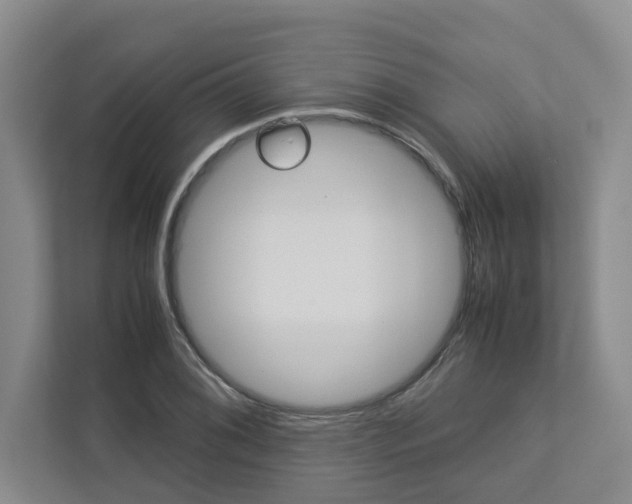 X0000113041076200908271030