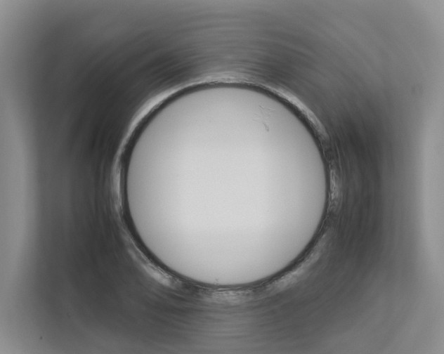 X0000113041078200908271029