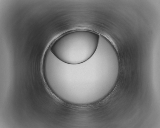 X0000113041080200908271029