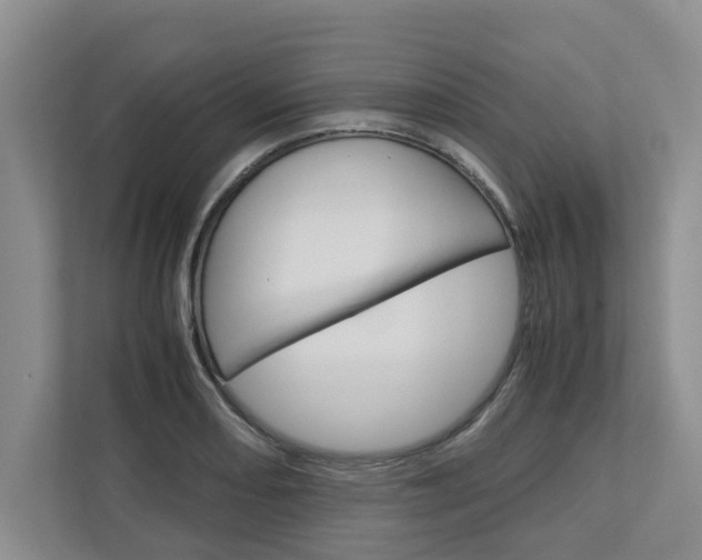 X0000113041082200908271029