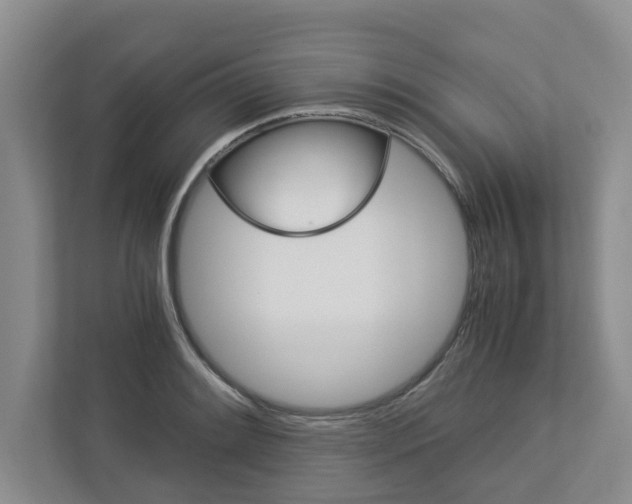X0000113041084200908271029