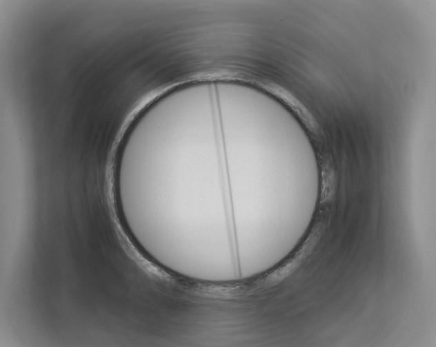 X0000113041086200908271029
