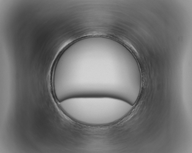 X0000113041087200908271029