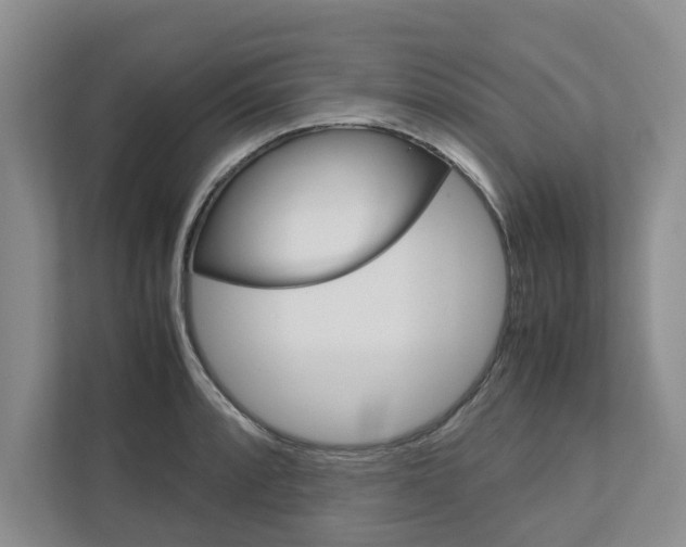 X0000113041088200908271029
