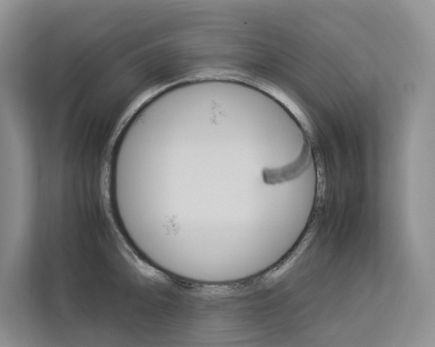 X0000113041094200908271029