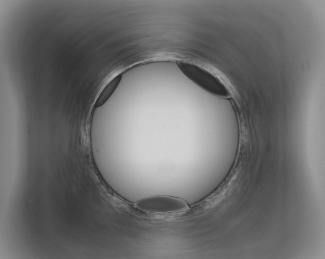 X0000113041097200908271029