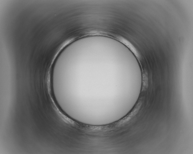 X0000113041098200908271029
