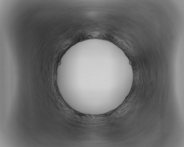 X0000113041105200908271029