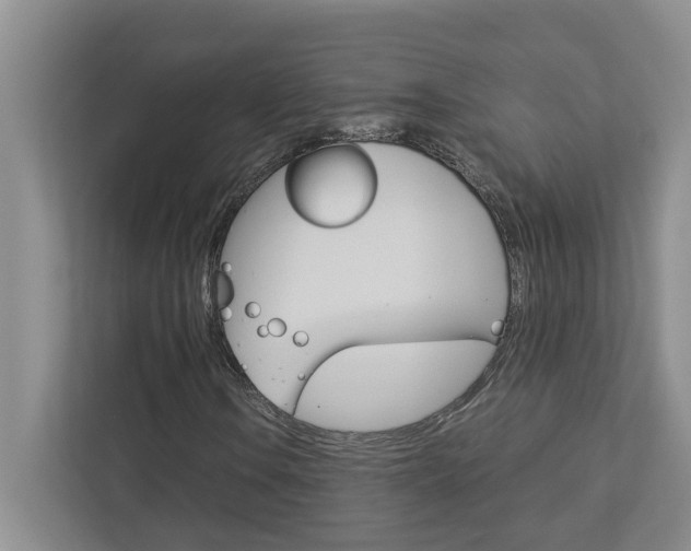 X0000113041106200908271029