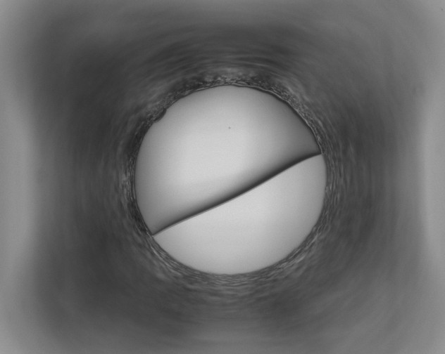 X0000113041109200908271029