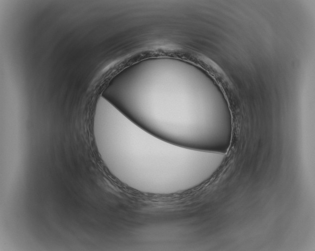 X0000113041112200908271029