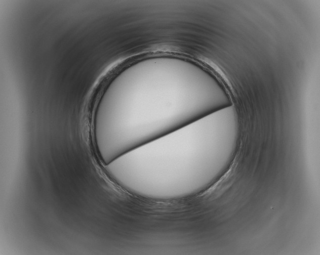 X0000113041115200908271029