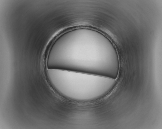X0000113041118200908271029