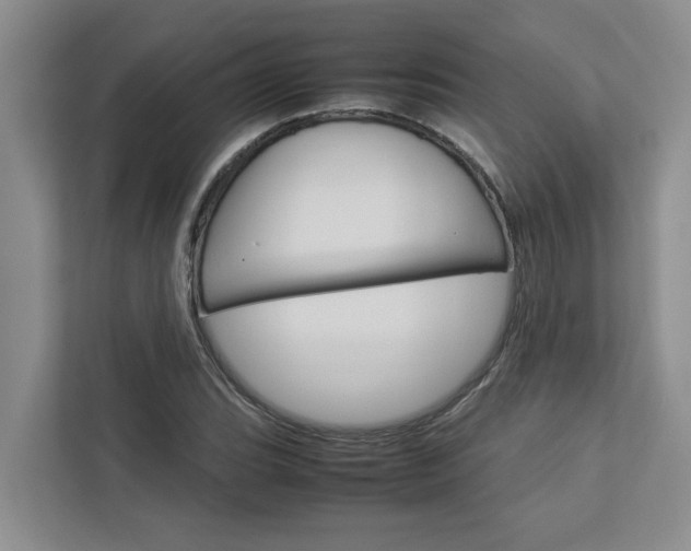X0000113041119200908271029