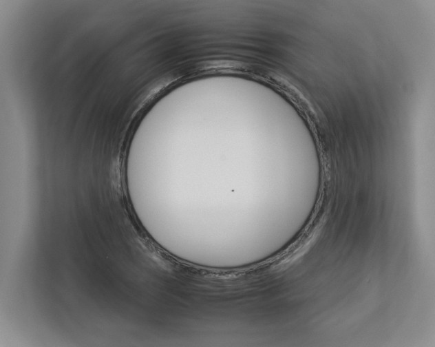 X0000113041121200908271029
