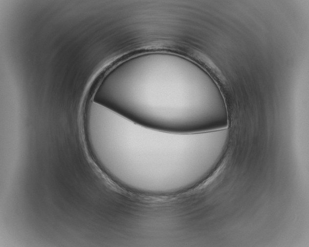 X0000113041122200908271029
