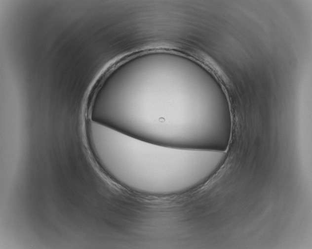 X0000113041124200908271029