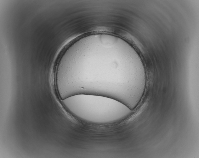 X0000113041125200908271029