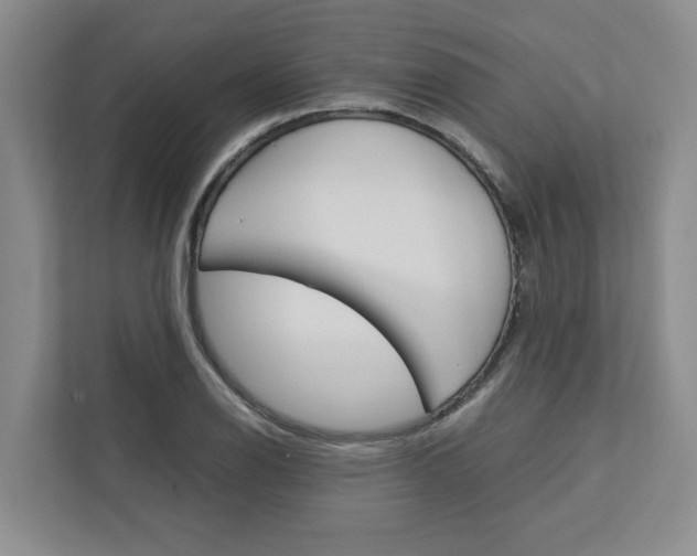 X0000113041126200908271029