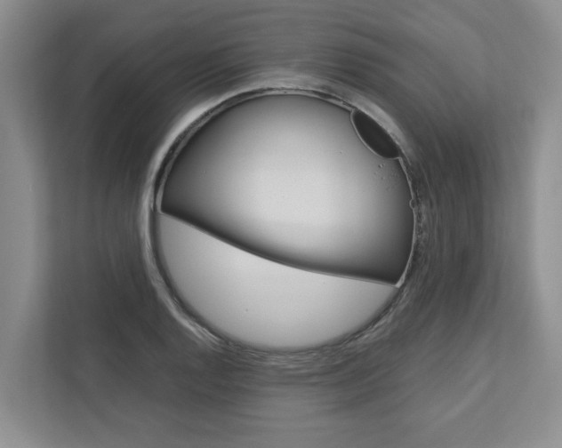 X0000113041128200908271029