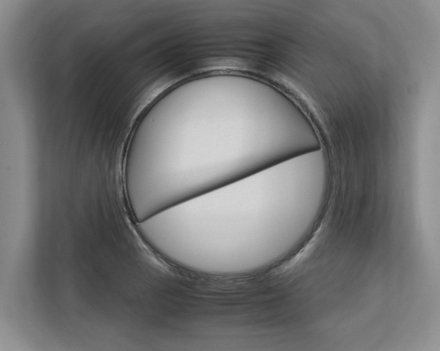 X0000113041129200908271029