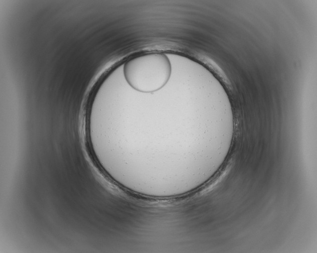 X0000113041130200908271029