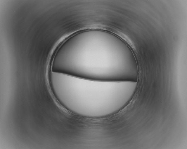 X0000113041136200908271029