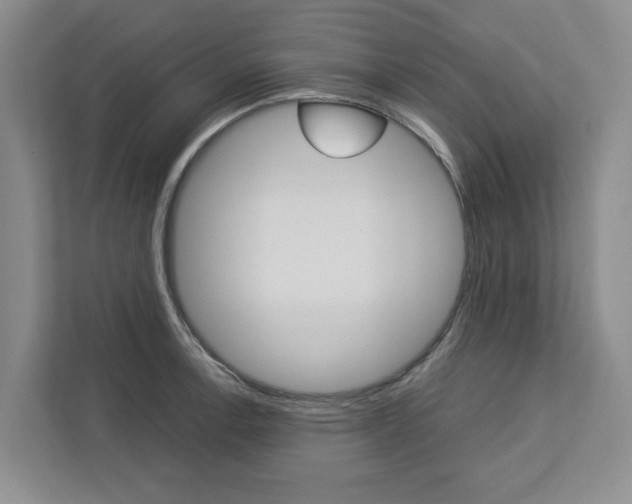 X0000113041138200908271029