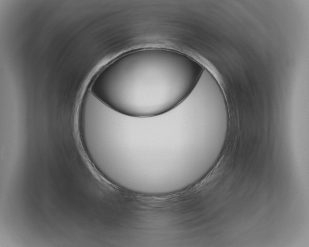 X0000113041144200908271029