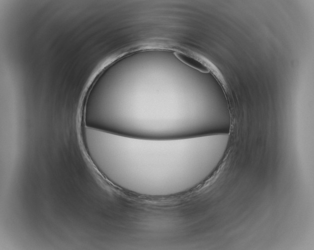 X0000113041146200908271029