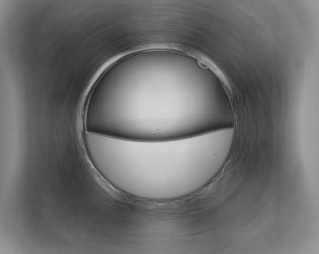 X0000113041148200908271029