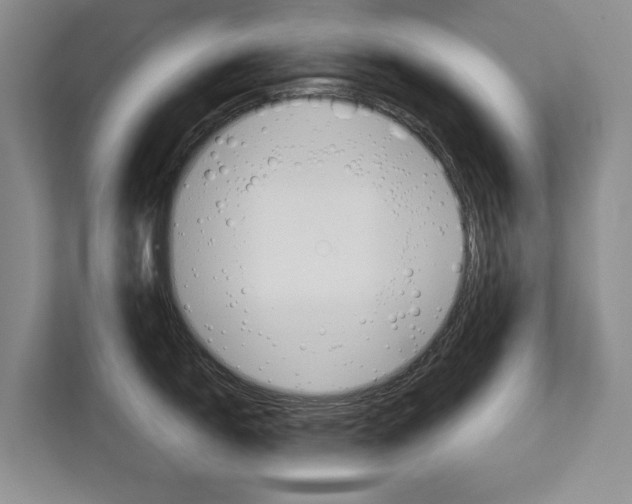 X0000113041150200908271029
