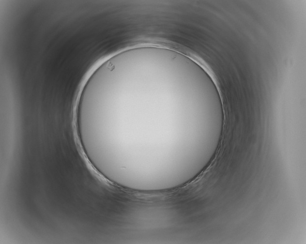 X0000113041152200908271029