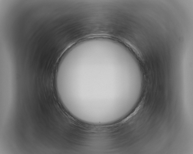 X0000113041162200908271028