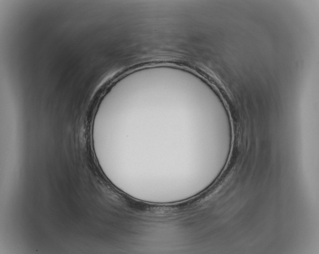 X0000113041163200908271028