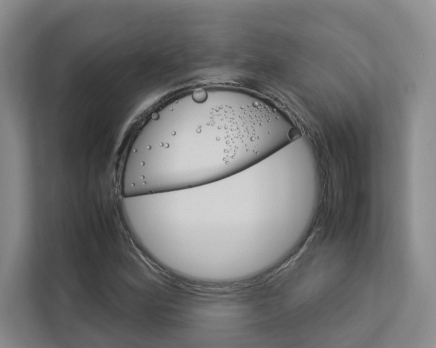 X0000113041164200908271028