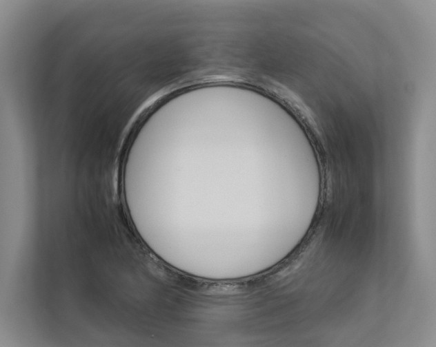 X0000113041174200908271028