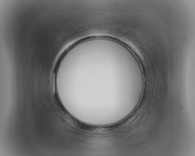 X0000113041175200908271028