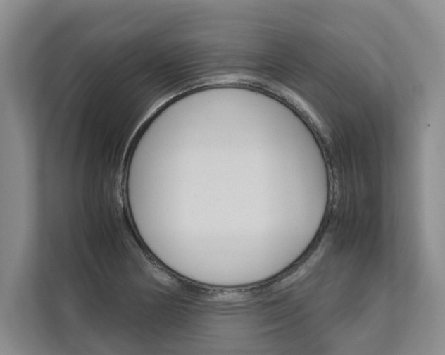 X0000113041178200908271028