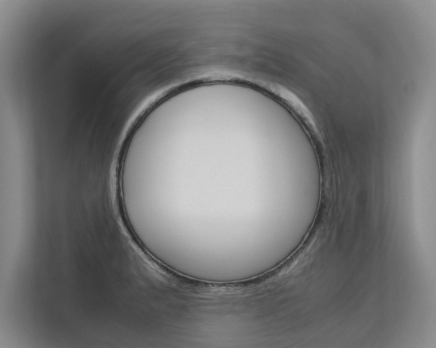 X0000113041183200908271028