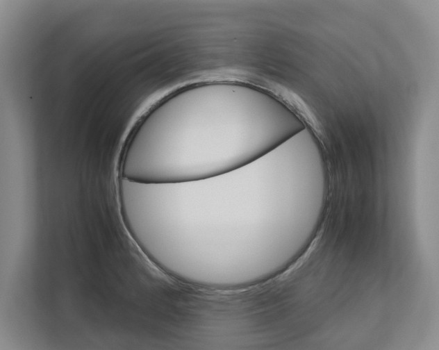 X0000113041184200908271028