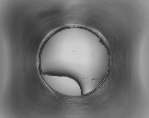 X0000113041191200908271028
