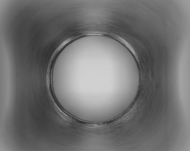 X0000113041195200908271028