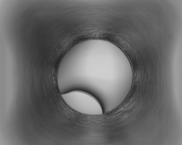 X0000113041202200908271027