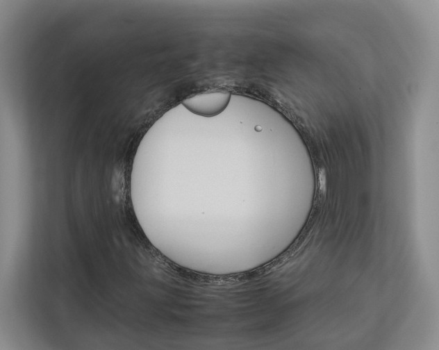 X0000113041203200908271027
