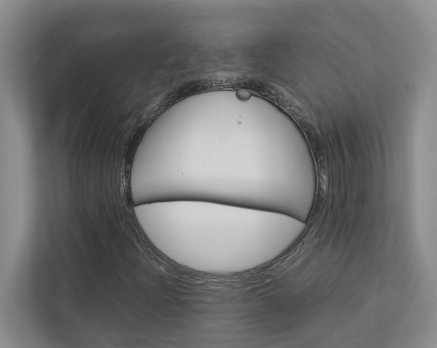 X0000113041204200908271027