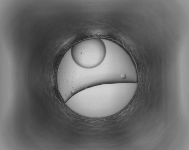 X0000113041205200908271027