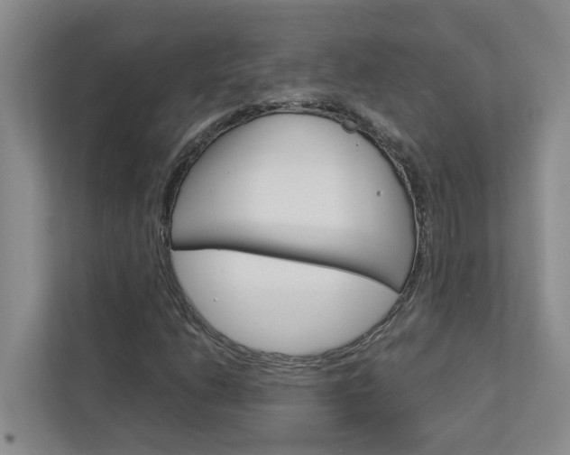 X0000113041206200908271027