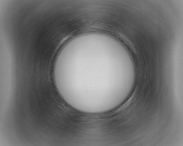 X0000113041210200908271027