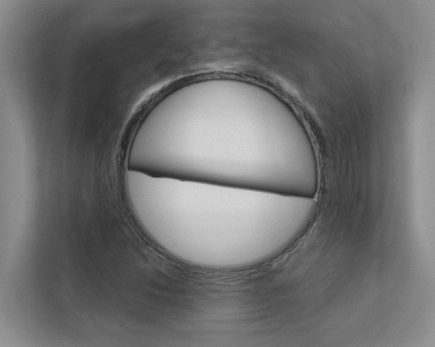X0000113041214200908271027